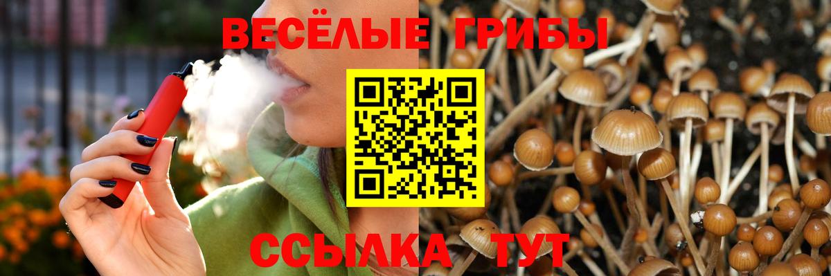 Владимир  Псилоцибиновые грибы Psilocybe  Вход с VPN 